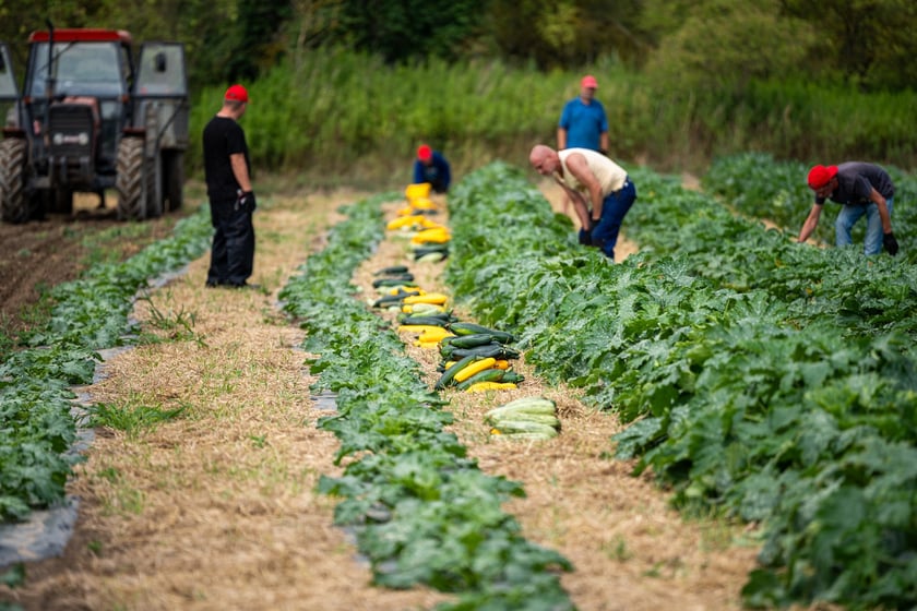 Miejska Farma Wrocławia